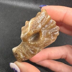 (1)Chocolate calcite dragon head